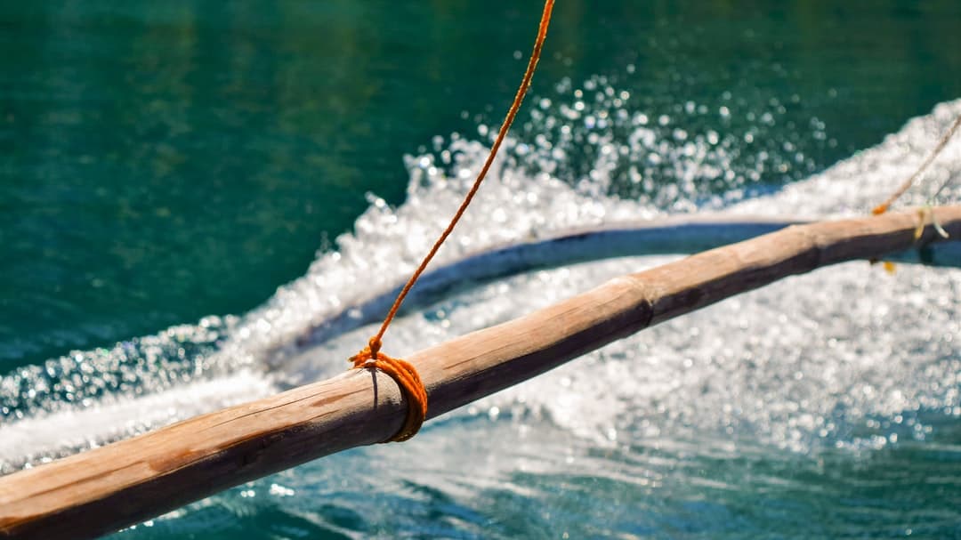 a close up of a wooden pole in the water
