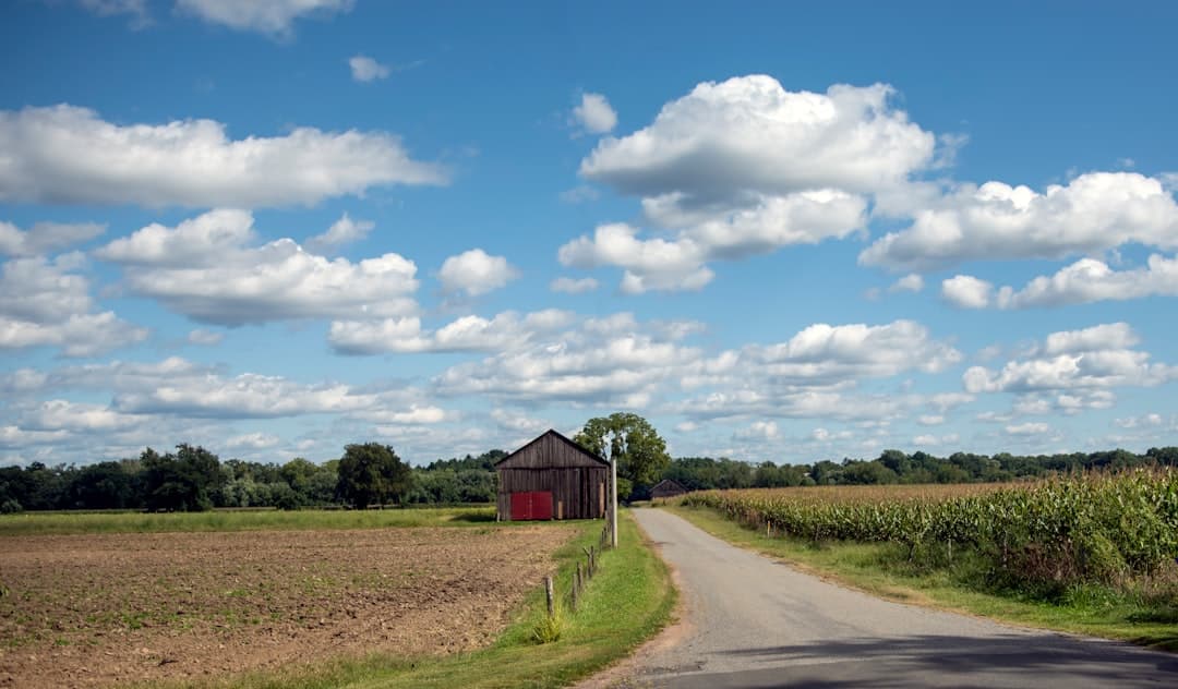 a country road with a barn in the distance