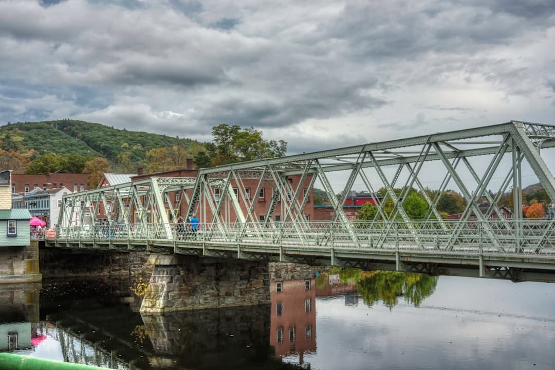 a bridge over a body of water with buildings in the background