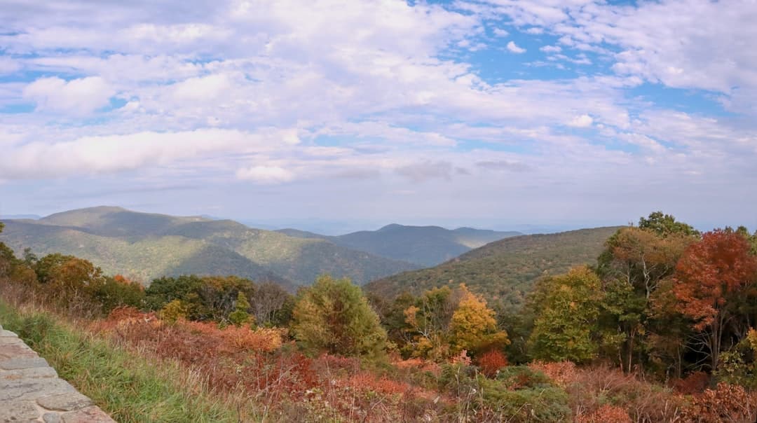 a scenic view of mountains and trees in the fall