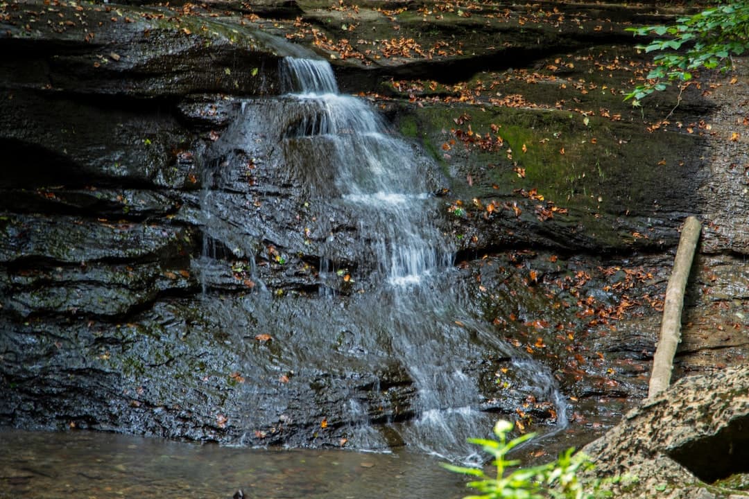 a small waterfall in the middle of a forest