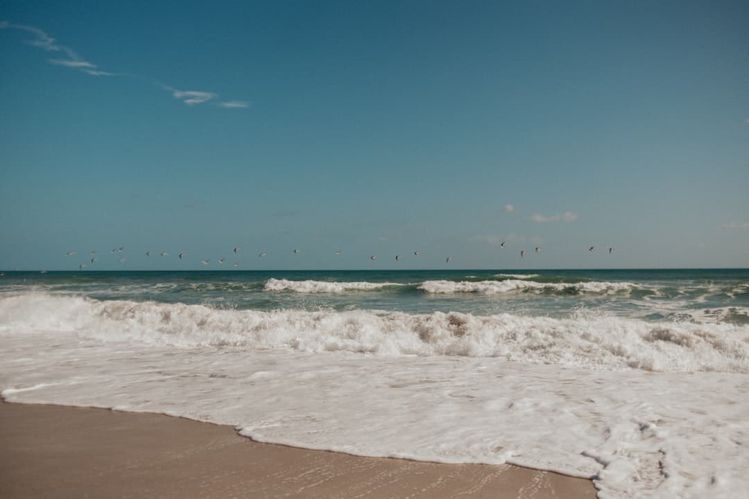 a sandy beach with waves and birds flying in the sky