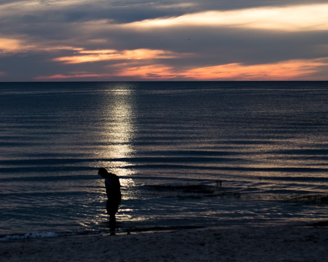 a person standing on a beach near the ocean