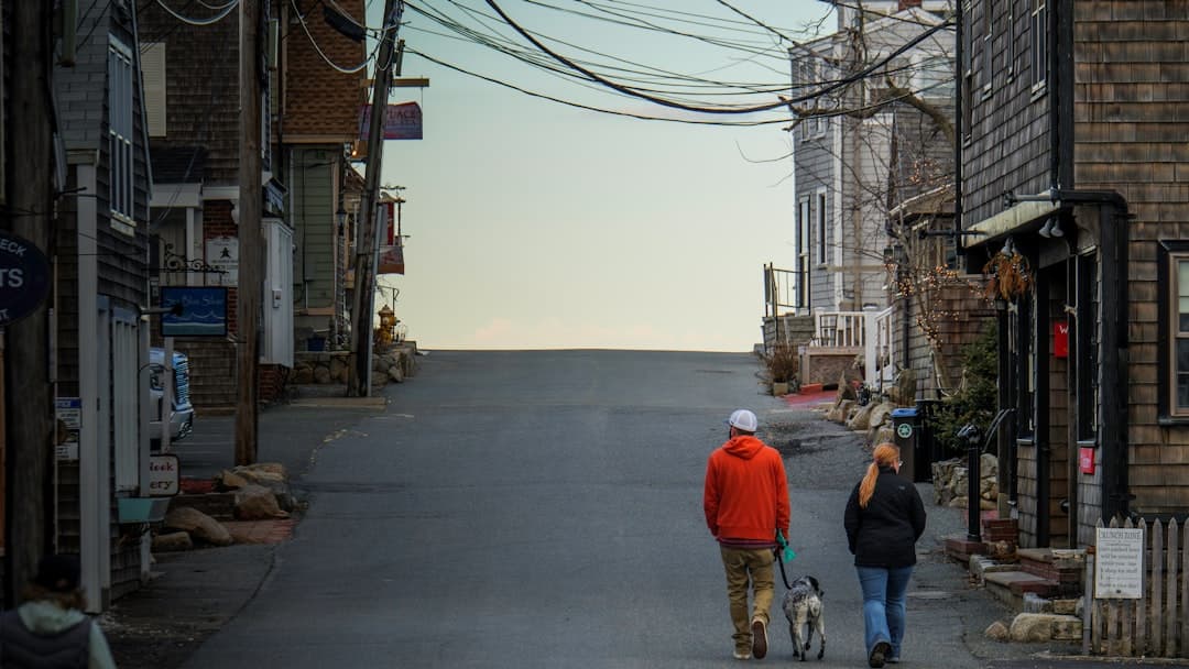 a man and a woman walking a dog down a street