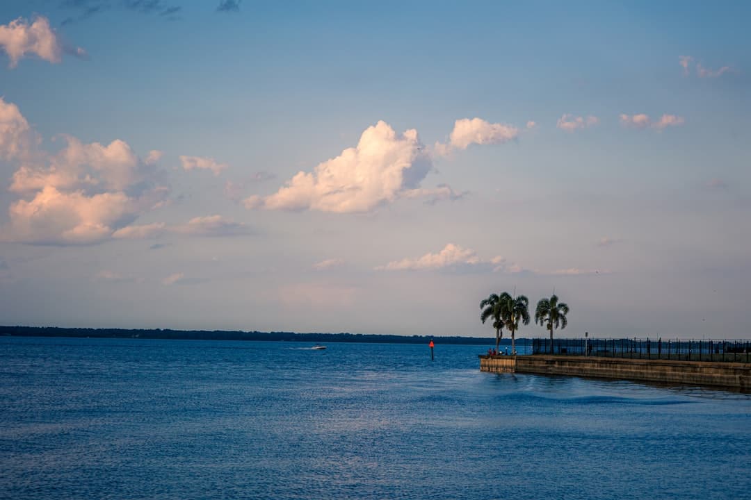 a body of water with palm trees in the distance