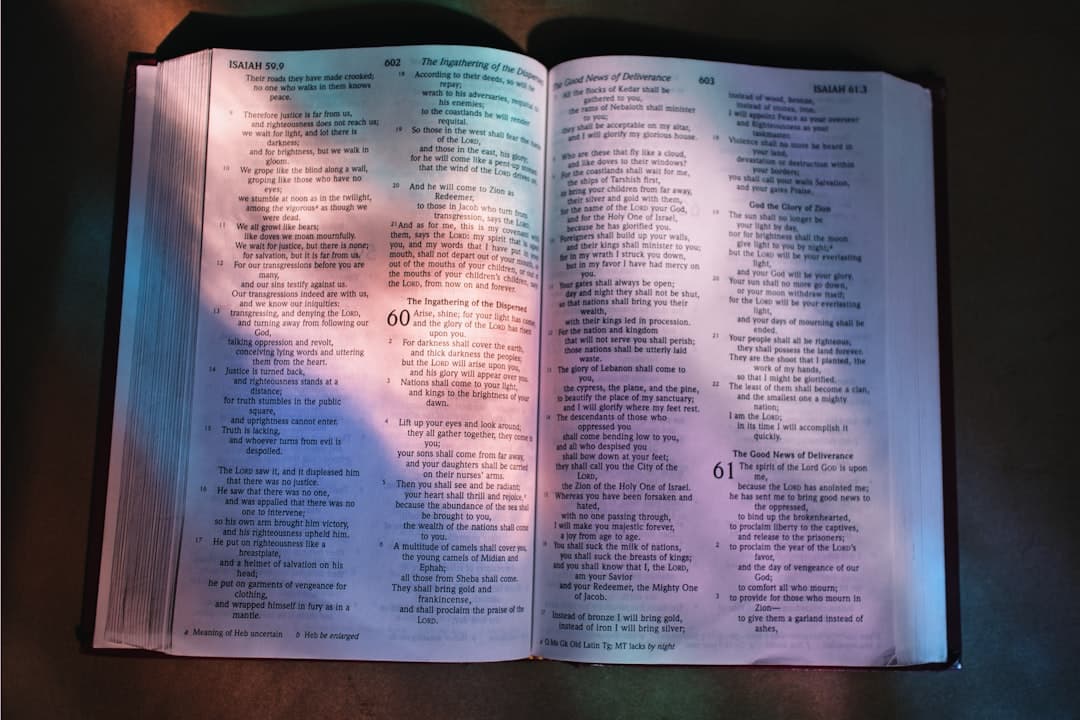 an open bible with a shadow of a tree on it