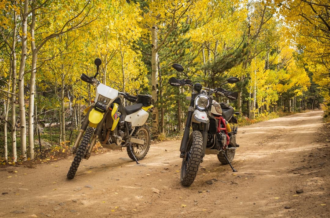 two motorcycles parked on a dirt road in the woods