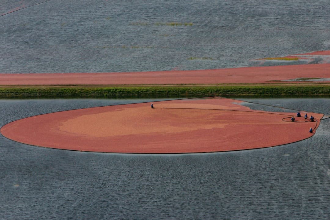 a baseball field in the middle of a lake