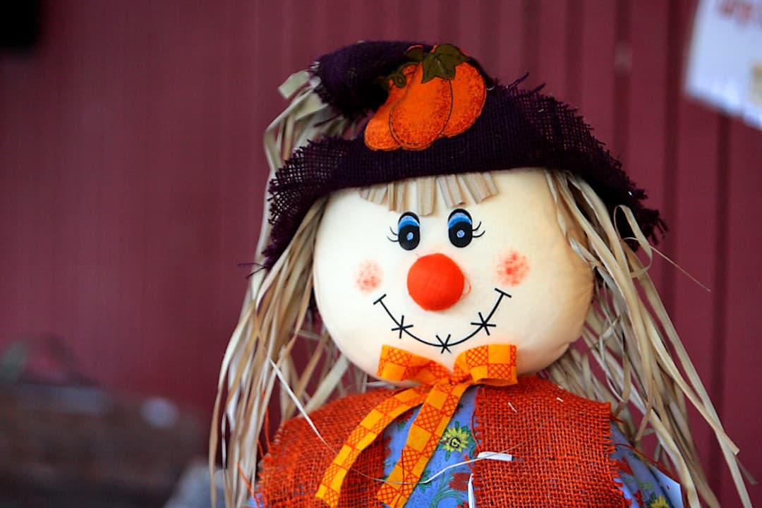 a scarecrow doll with a black hat and orange scarf