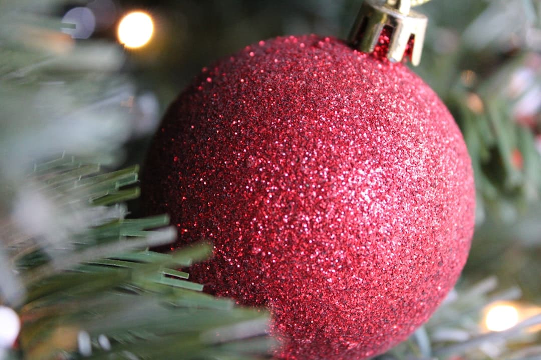 a red ball on a tree