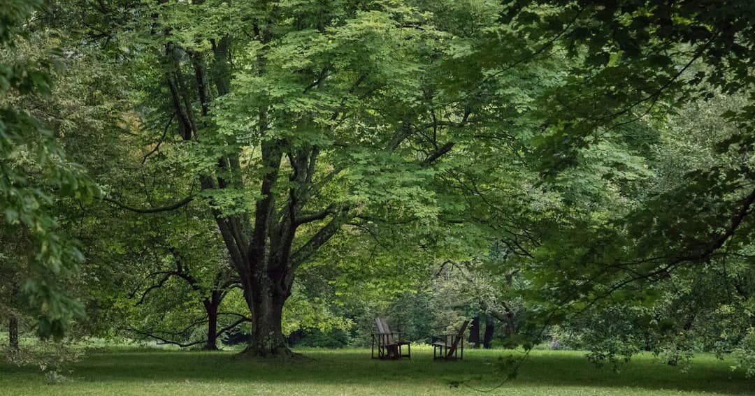 a group of people sitting on a bench under a tree