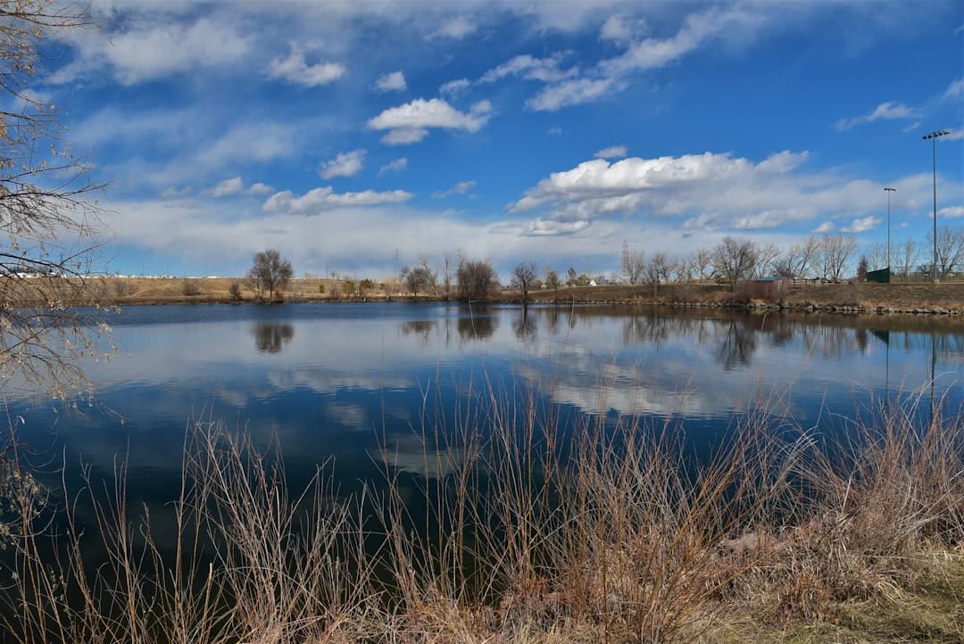 a large body of water surrounded by dry grass