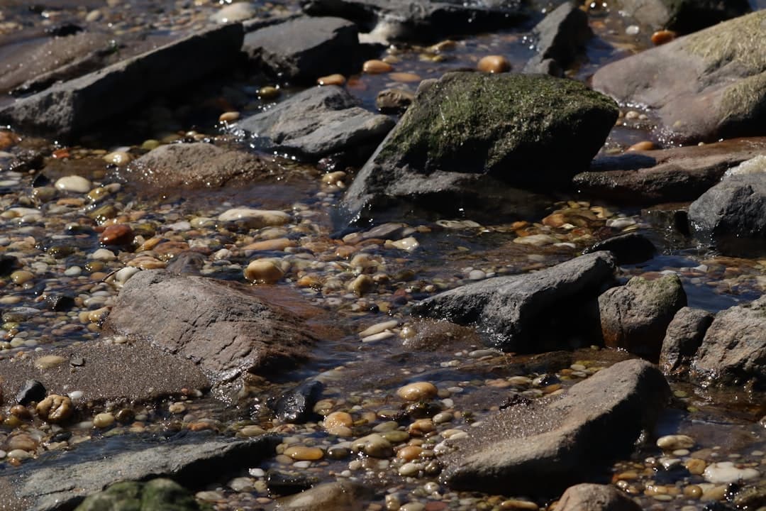 rocks and pebbles in a stream of water