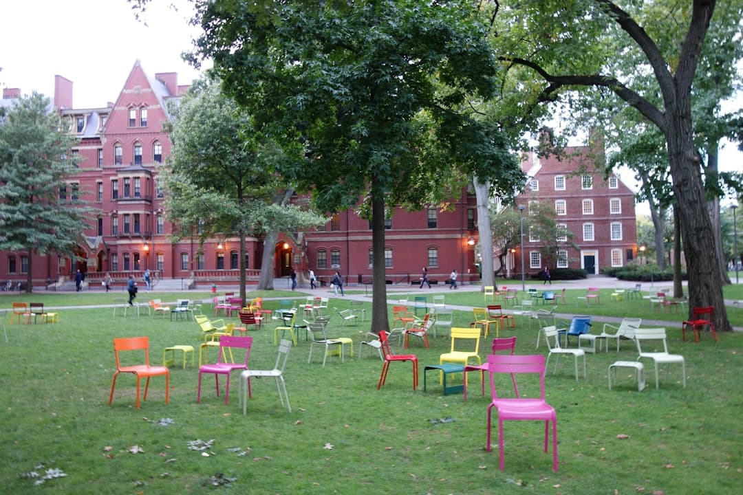 a bunch of chairs that are in the grass