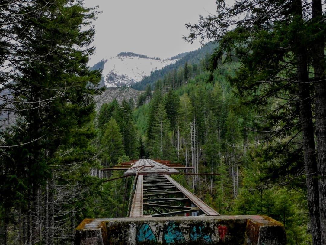 a bridge in the middle of a forest with a mountain in the background