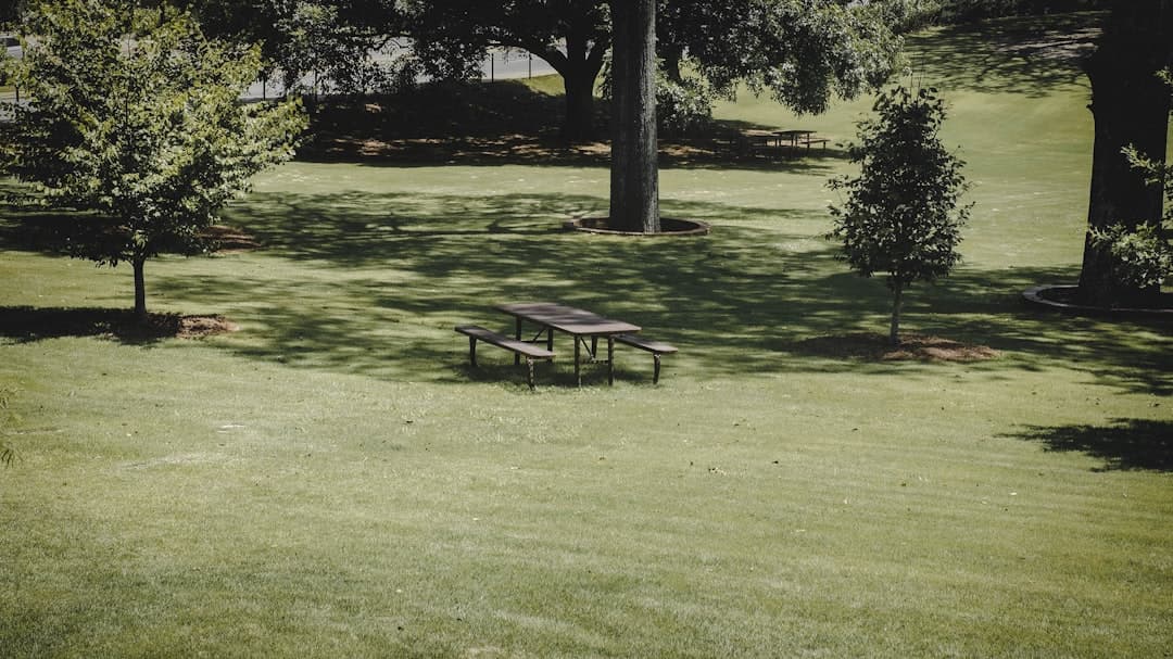 a picnic table in the middle of a grassy field