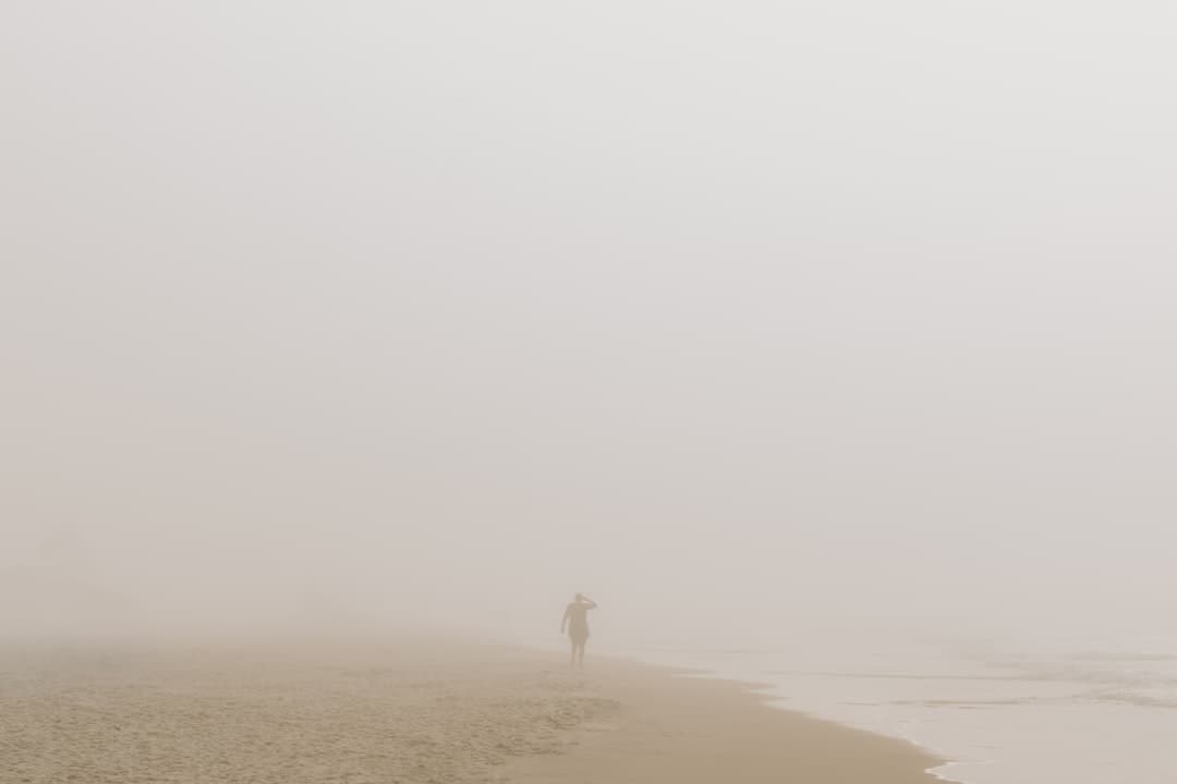 a person standing on a beach in the fog