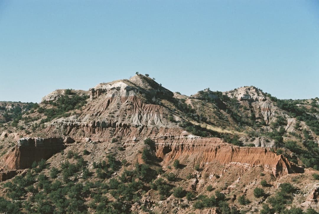 a view of a mountain with trees on the side of it