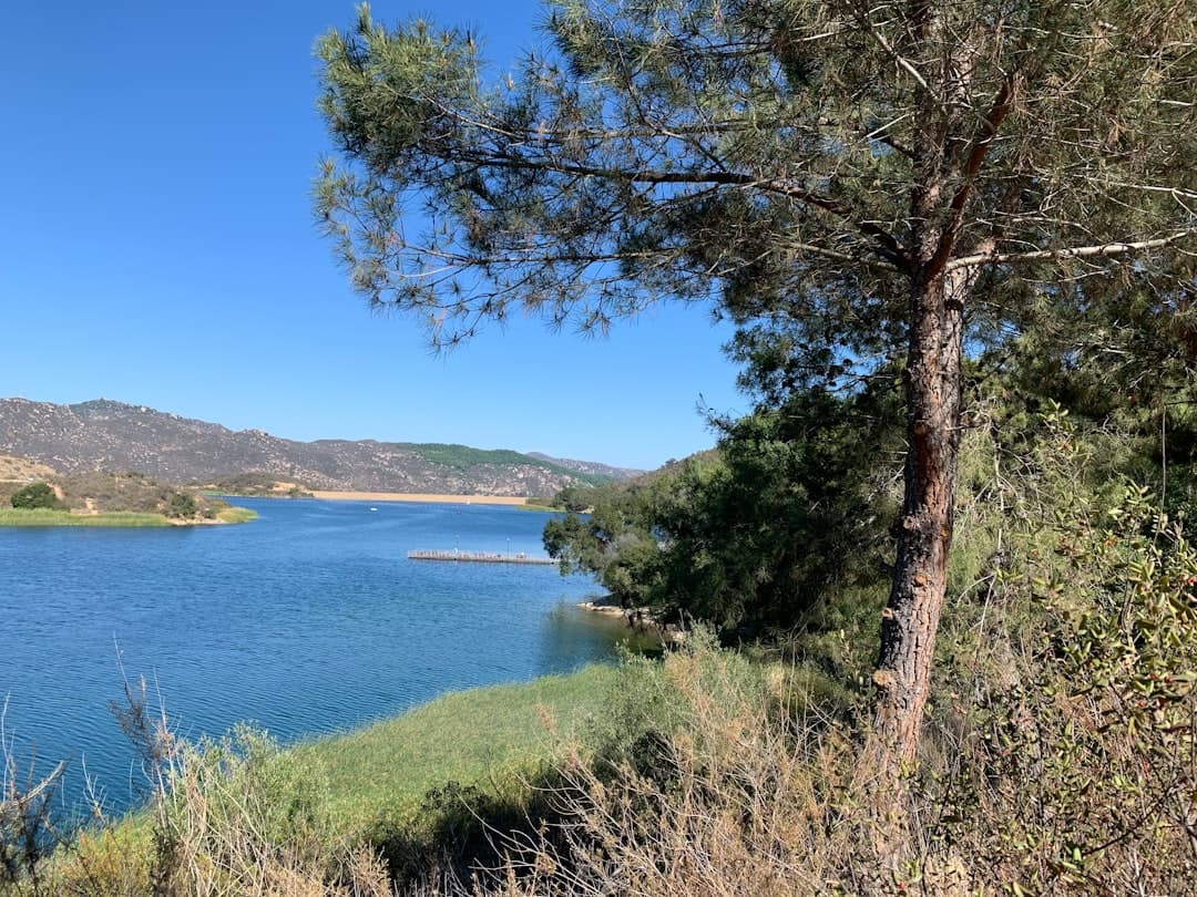 a large body of water surrounded by trees