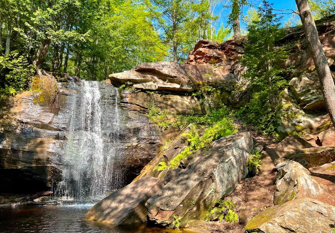 a waterfall in the middle of a forest