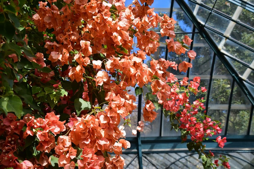 a bunch of flowers that are in a glass house