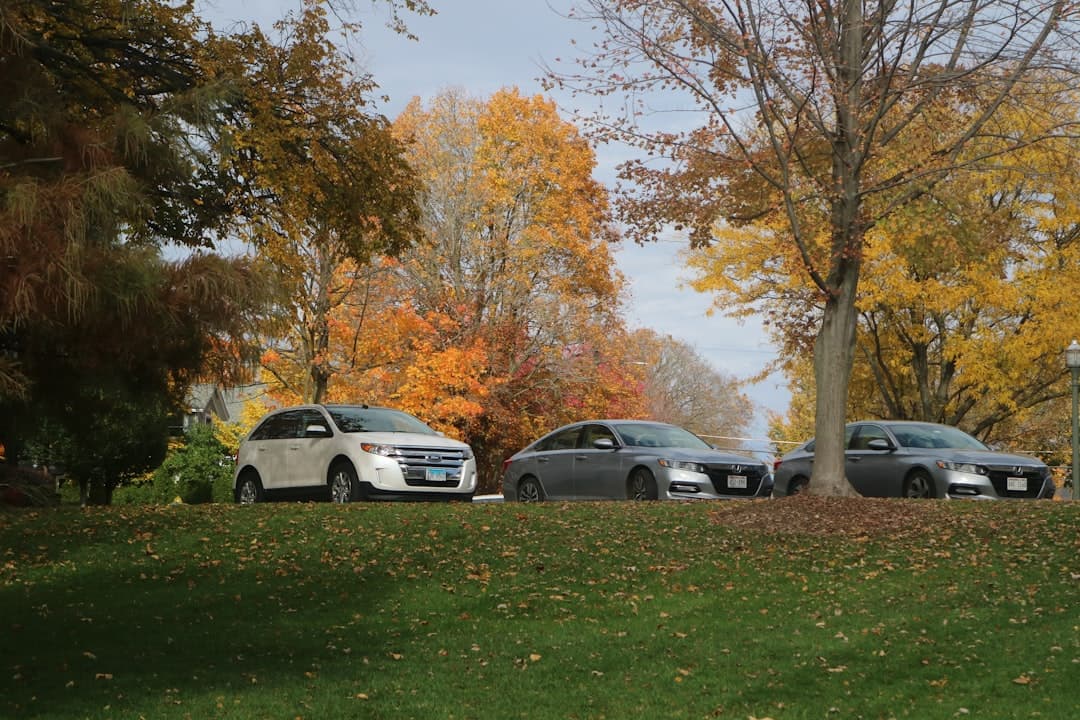 a group of cars parked next to each other in a park
