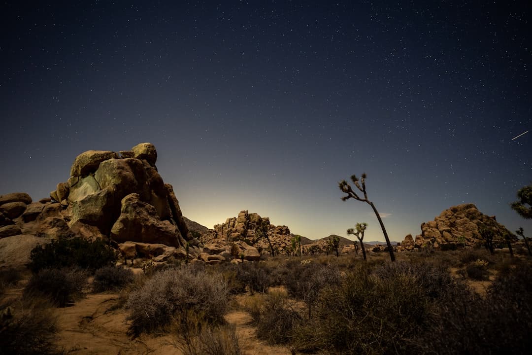 the night sky over a desert with rocks and plants