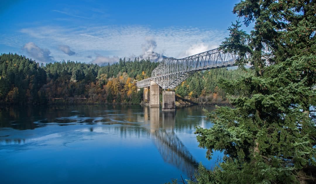 a bridge over a river surrounded by trees