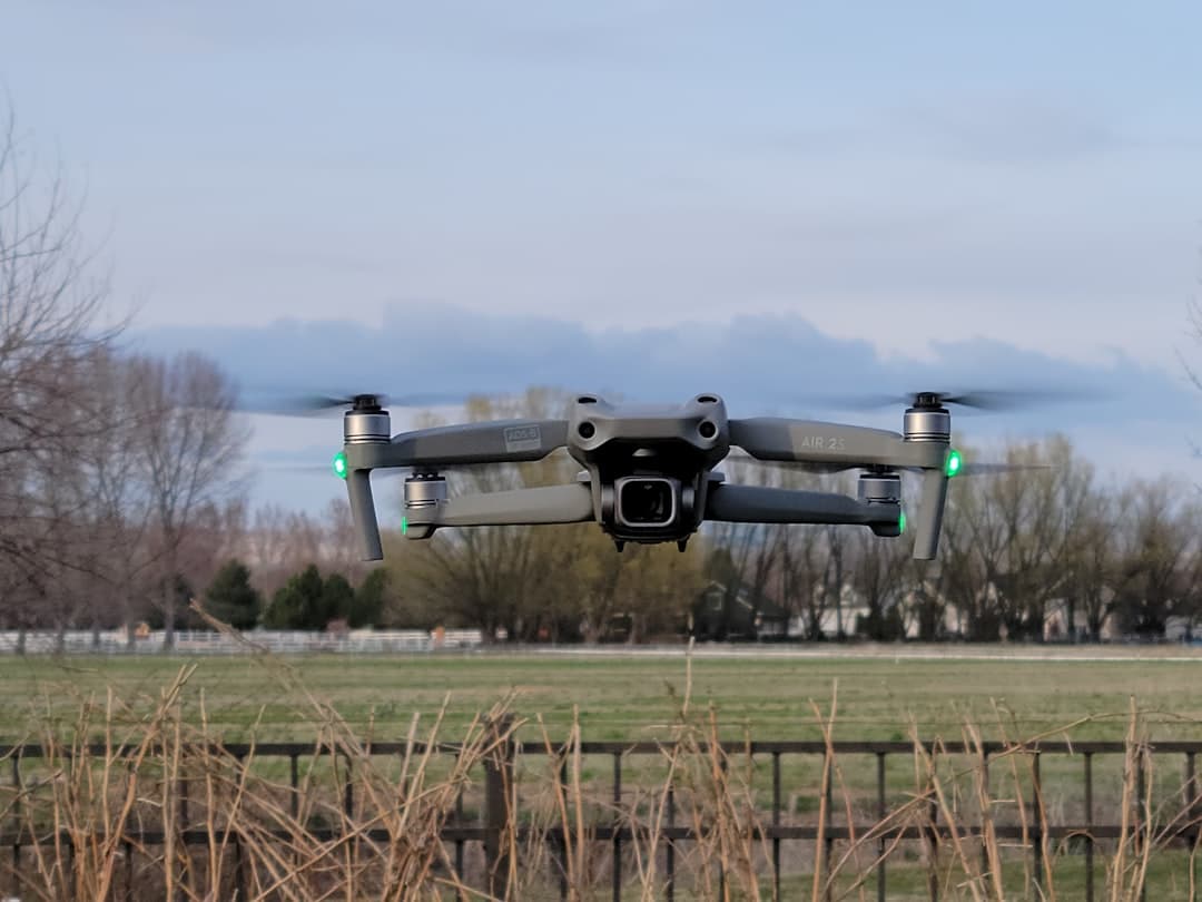 a large gray and black flying over a lush green field