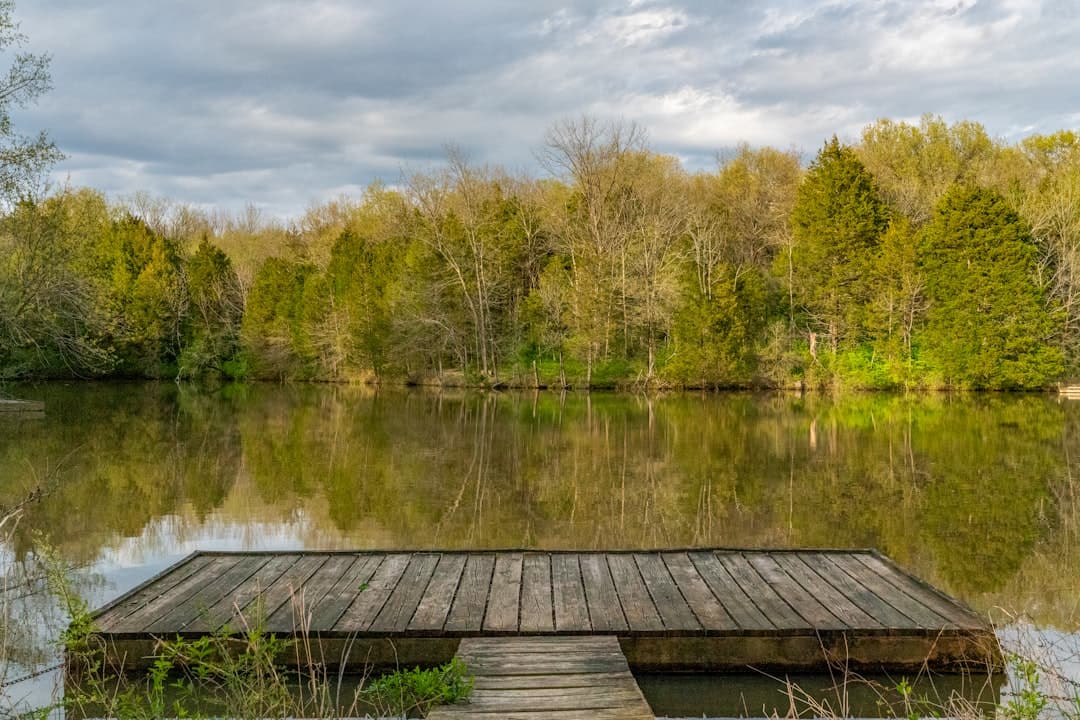 a dock sitting on top of a lake next to a forest