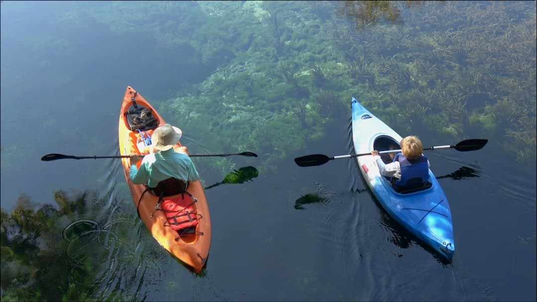 two people in kayaks paddling on the water