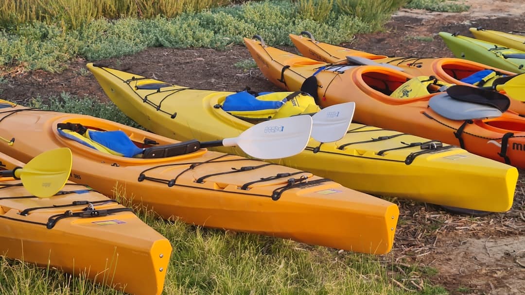a group of kayaks sitting on top of a grass covered field