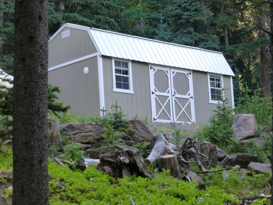 a small building in the middle of a forest